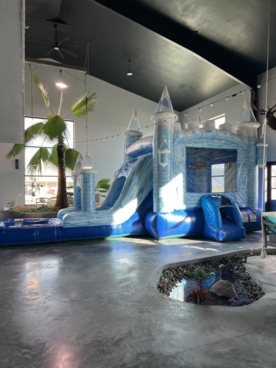Bounce House/Slide Combos Bounce House/Slide Combos